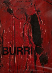 buri2 buri2