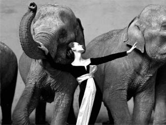 Avedon
